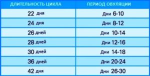 Как узнать когда наступит овуляция после месячных