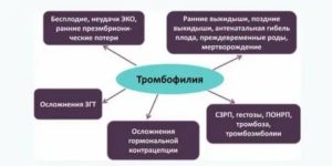 Тромбофилия и бесплодие неясного генеза