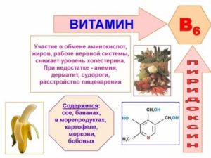 Чем пахнут витамины группы в