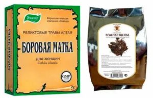 Настойка боровой матки и красной щетки при миоме матки отзывы