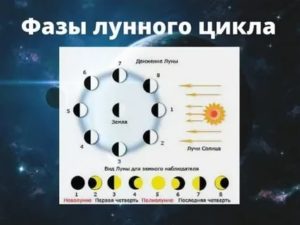 Когда должны начинаться месячные в новолуние или полнолуние