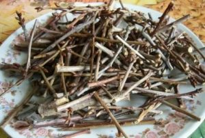 Вишневые ветки при эндометриозе