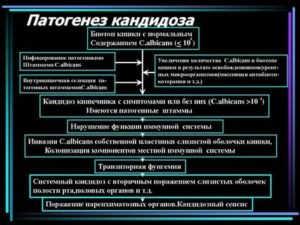 Этиология и патогенез кандидоза полости рта