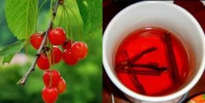 Вишневые ветки при эндометриозе