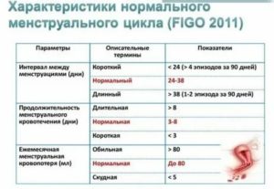 Когда восстановятся месячные после похудения