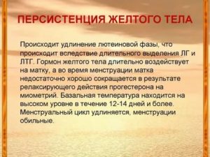 Что такое персистирующее кистозное желтое тело