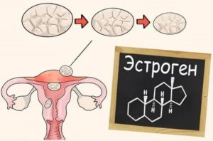 Может ли миома уменьшится в размерах при климаксе