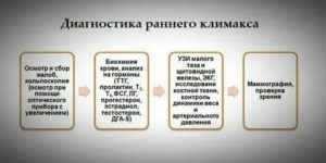 Признаки раннего климакса по узи