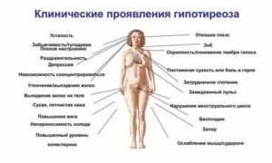 Поджелудочная железа климаксу женщин