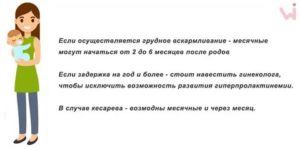 Когда после родов начинаются месячные при искусственном вскармливании