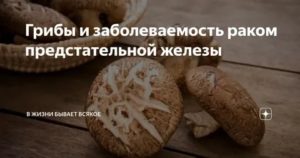 Грибы для лечения рака простаты