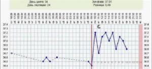 Нет овуляции прогинова дюфастон схема