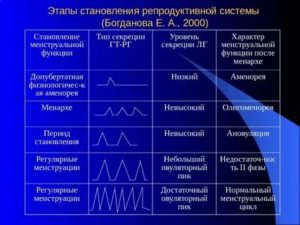 Что такое становление менструальной функции