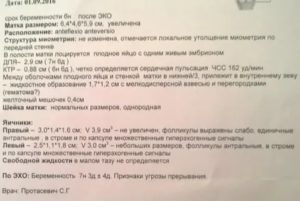 Узи на ранних сроках беременности какие должны быть размеры матки