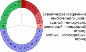 Когда начинаются безопасные дни при месячных