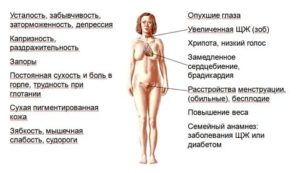 Могут ли быть проблемы с месячными из за щитовидной железы