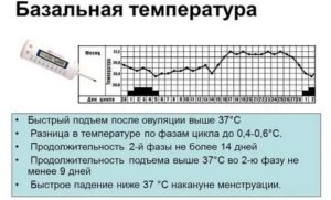 Может ли перед месячными быть температура 37 3 неделю и болеть спина