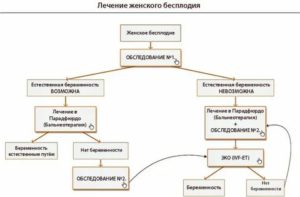 Современные методы диагностики и лечения бесплодия у женщин