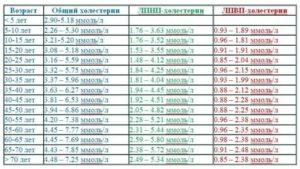 Может ли повышаться холестерин во время месячных