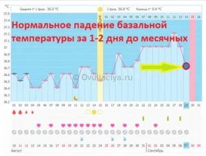 Может ли перед месячными быть температура 37 3 неделю и болеть спина