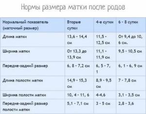 Размер матки 3 что значит на узи