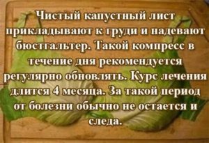 Как прикладывать капустный лист при кисте молочной железы