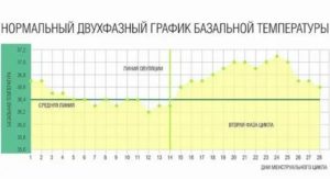 Какая базальная температура во время месячных норма и после месячных