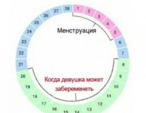 Может ли девушка забеременеть во время месячных или сразу после них