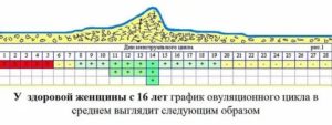 Могут ли прийти месячные на 25 день цикла