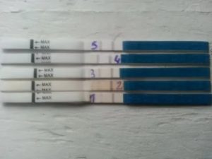 Что означает если задержка месячных на 5 дней