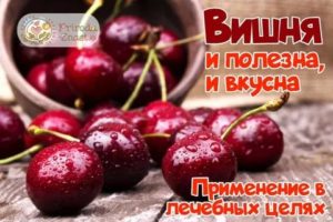 Вишневые ветки при эндометриозе