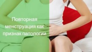 Что если через неделю пошли месячные второй раз за месяц