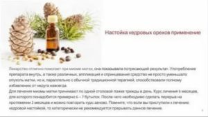 Кедровые орехи настойка на водке лечебные свойства при миоме матки