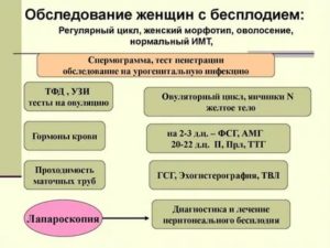 С чего начинать женщине обследование по бесплодию