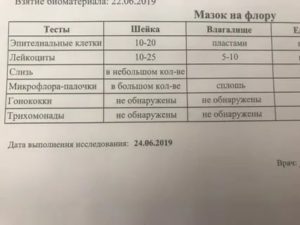 Мазок на флору у женщин что показывает молочницу