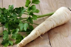 Корень петрушки при климаксе