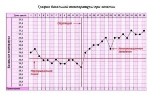 Может ли быть температура перед месячными и во время месячных