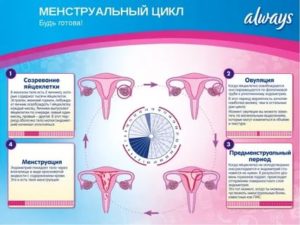 Может ли измениться цикл месячных после антибиотиков