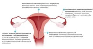 Может ли гормональная мазь повлиять на месячные