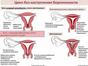 Могут ли месячные задержаться из-за уколов