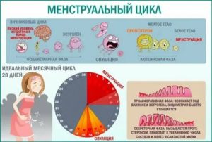 Какие могут быть причины коротких месячных