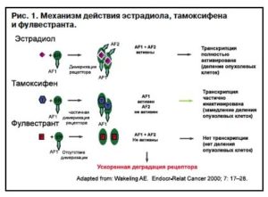 Таргетная терапия при раке молочной железы препараты какой лучше