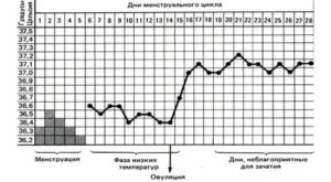Какая ректальная температура за день до месячных