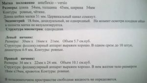 Узи на ранних сроках беременности какие должны быть размеры матки