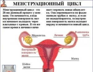 Могут ли из за секса перестать идти месячные