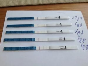 Что означает если задержка месячных на 5 дней