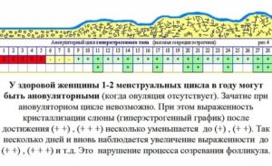 Какими должны быть месячные при ановуляторном цикле