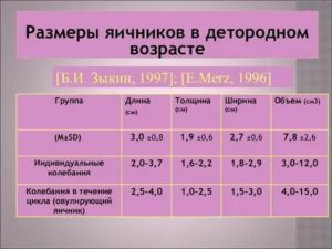 Размеры яичников в норме у женщин по узи на 6 день цикла