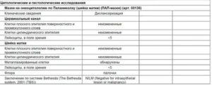 Онкоцитология шейки матки срок готовности анализа