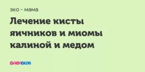 Как принимать калину с медом при кисте яичника